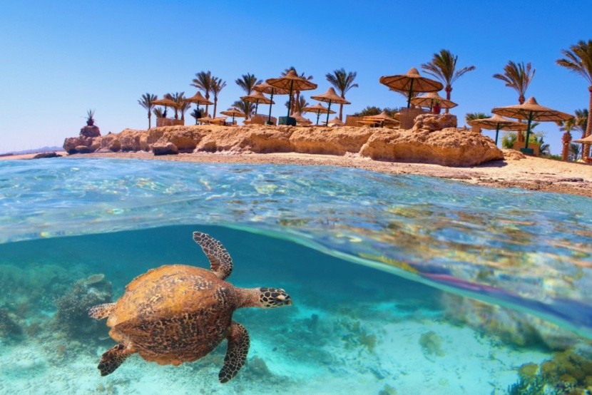 Egyiptomi víziparadicsom, Marsa Alam