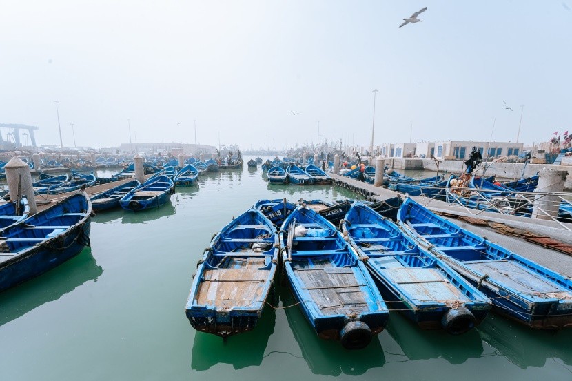 Łodzie w porcie w Essaouirze