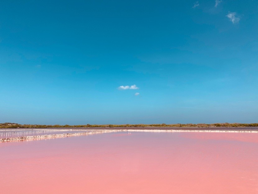 Las Salinas, Dominikánská republika