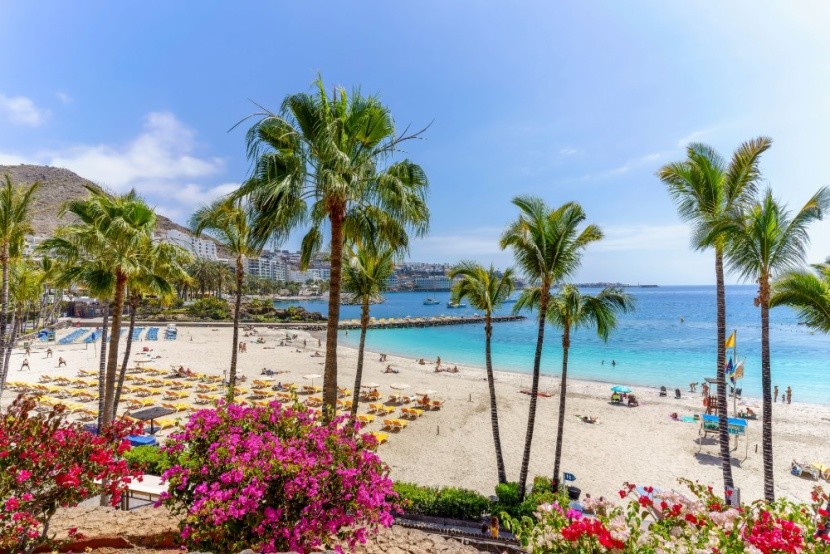 Kanári-szigetek tavasszal
