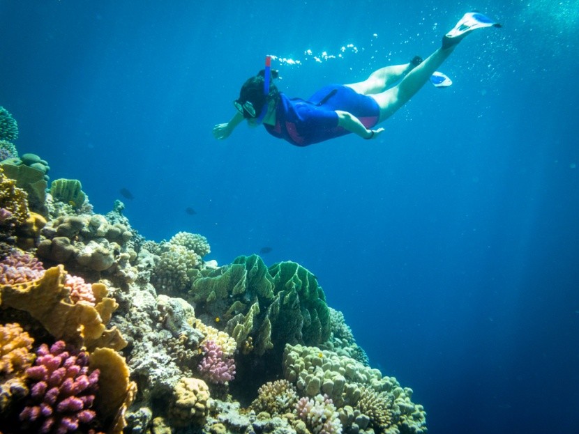 Šnorchlovanie v Sharm El Sheikh