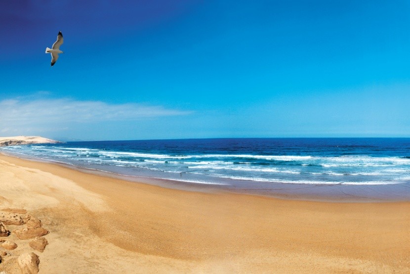 Słoneczny dzień nad Atlantykiem w Maroku