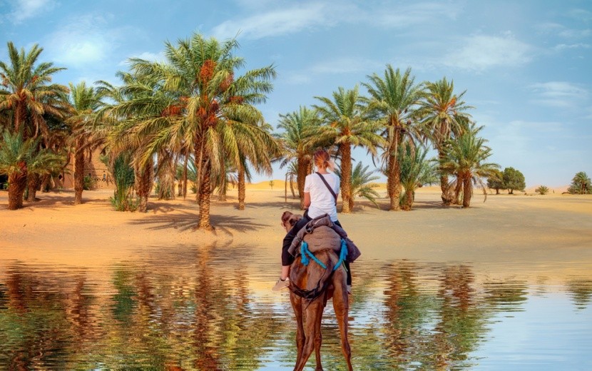 oáza v marocké poušti