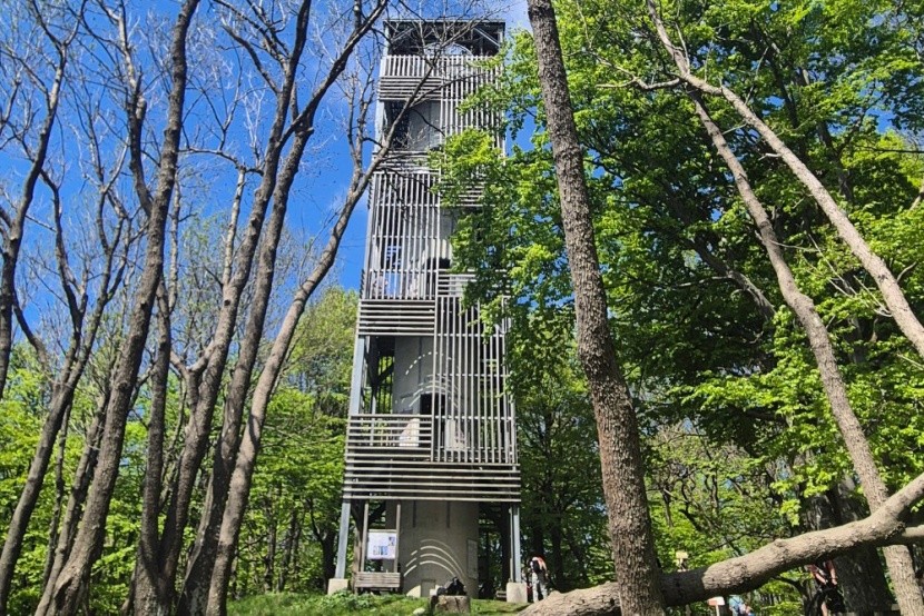 A Csóványosi-kilátó a Börzsönyben