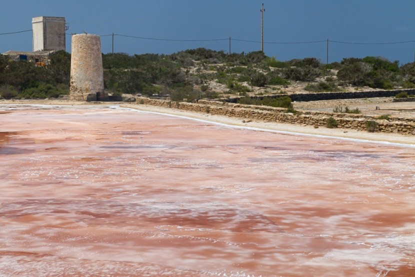 Słona laguna z różową wodą na Formenterze