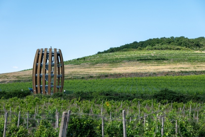 rozhľadňa Tokaj