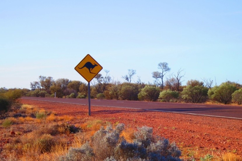 A Nagy-Viktória-sivatag