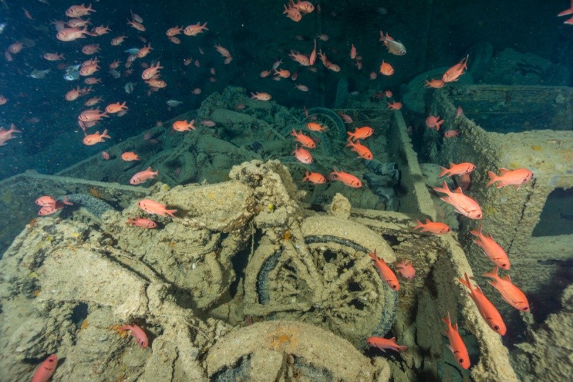 náklad na vraku SS Thistlegorm, Egypt