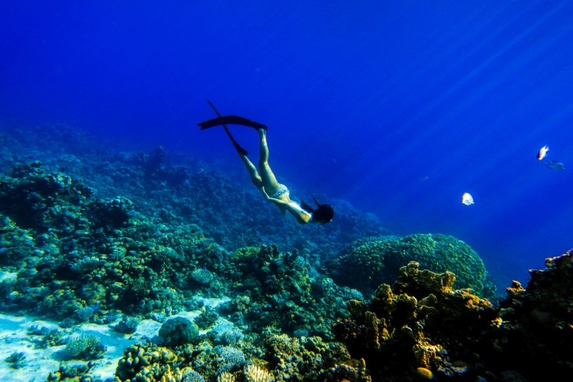 freediving v Dahabu, Egypt