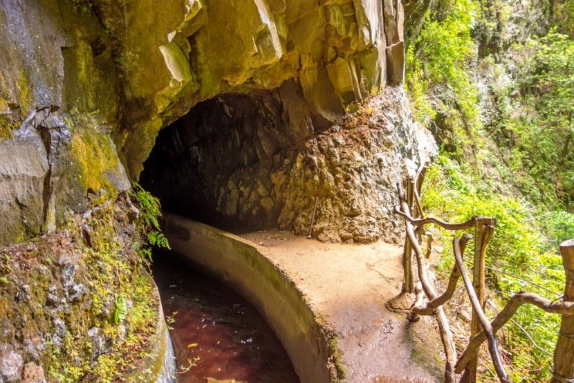 Levada do Central da Ribeira da Janela, Madei