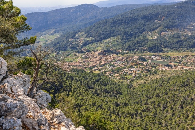 Szlak trekkingowy w Valldemossie