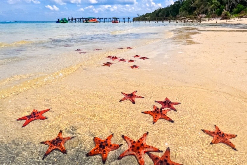Tengericsillag strand, Vietnám