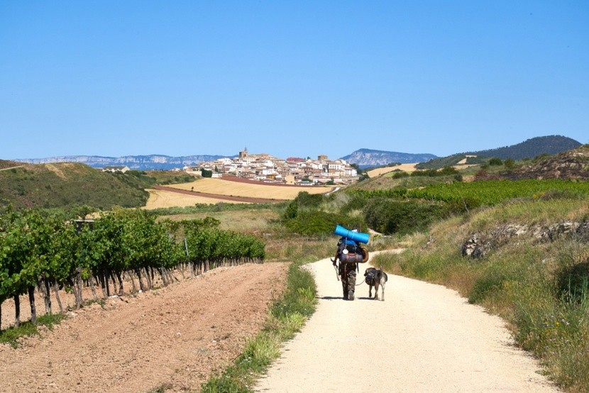 Cirauqui, Camino de Santiago