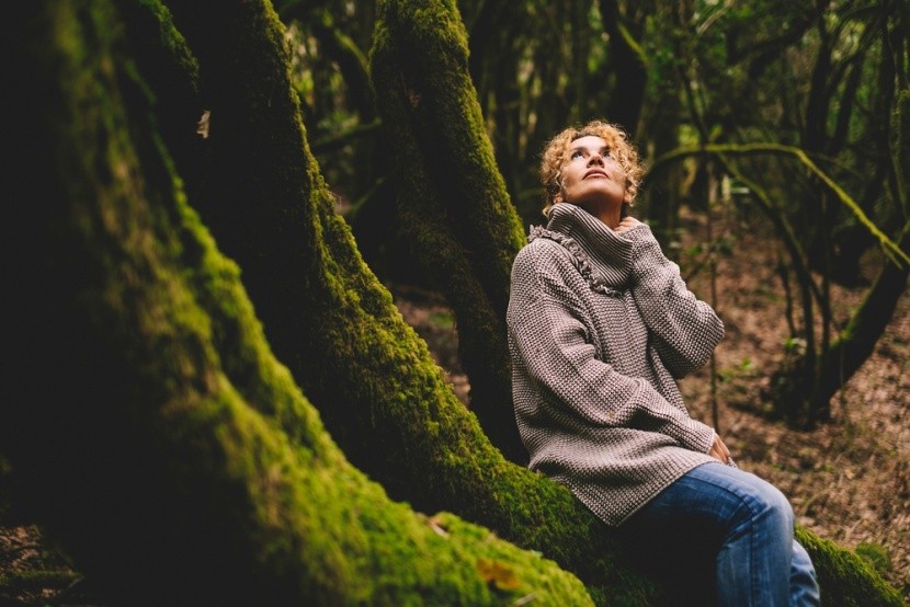 ticho vavřínového pralesa, La Gomera