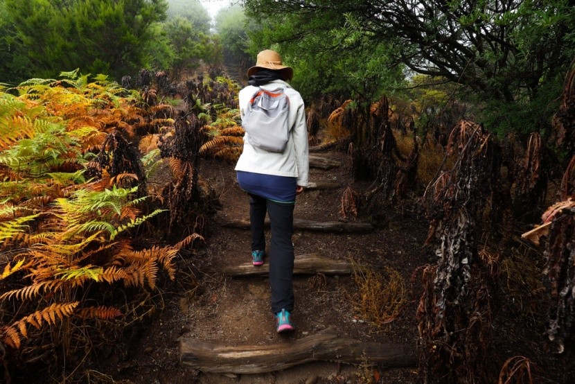 Národní park Garajonay, La Gomera