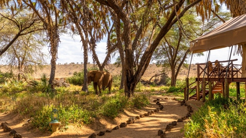 Samburu, Keňa