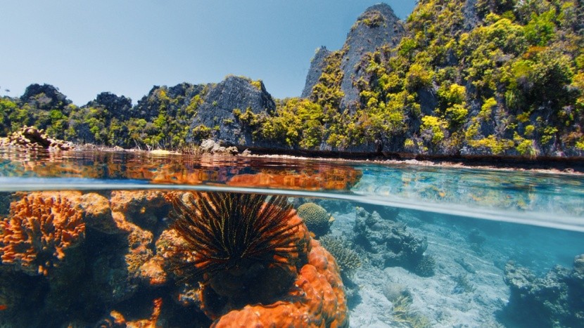 Raja Ampat, Indonésie