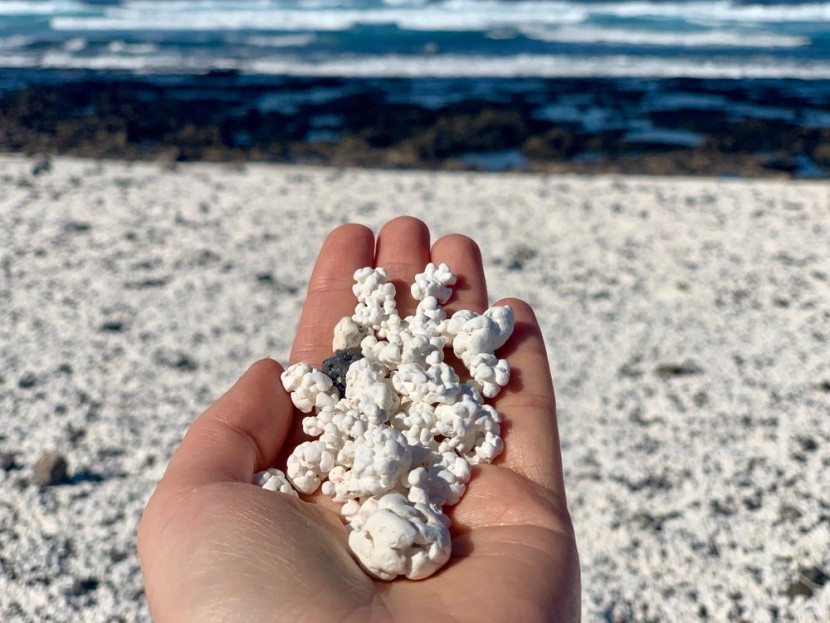 Popcorn Beach, Fuerteventura