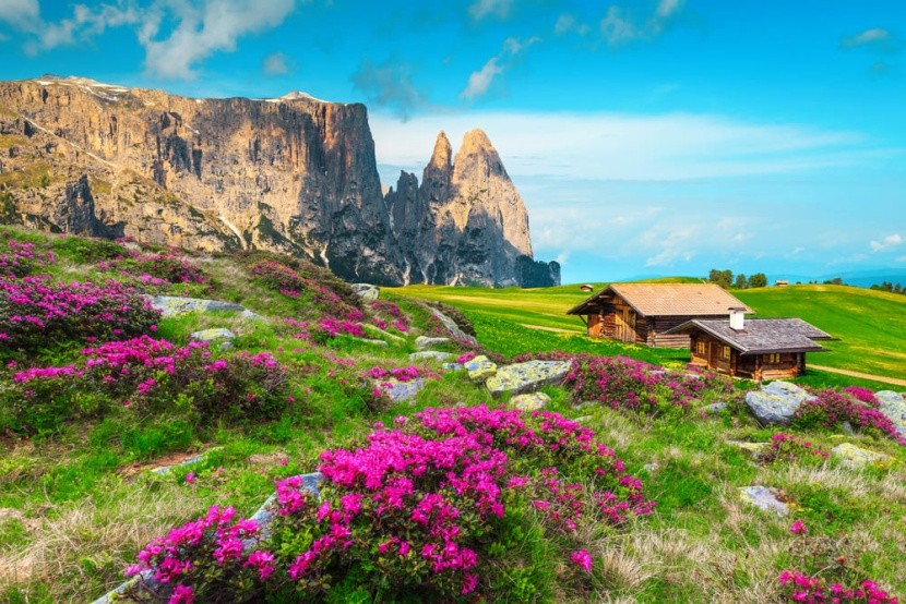 Alpe di Siusi