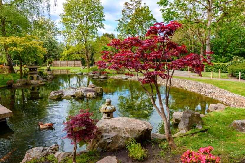 Kyoto Garden