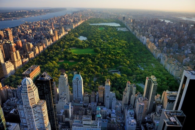 New York 