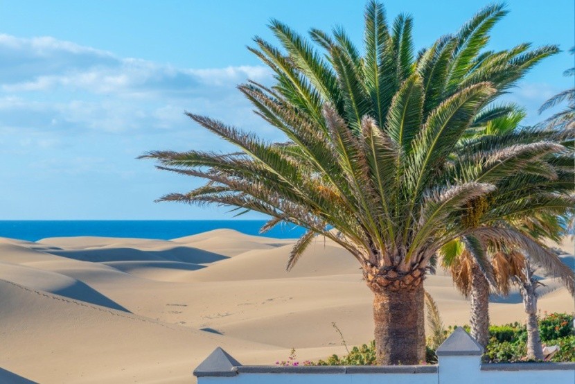 Gran Canaria varázslatos dűnéi