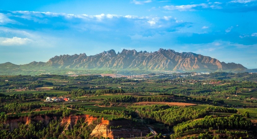 Penedés a Montserrat na pozadí