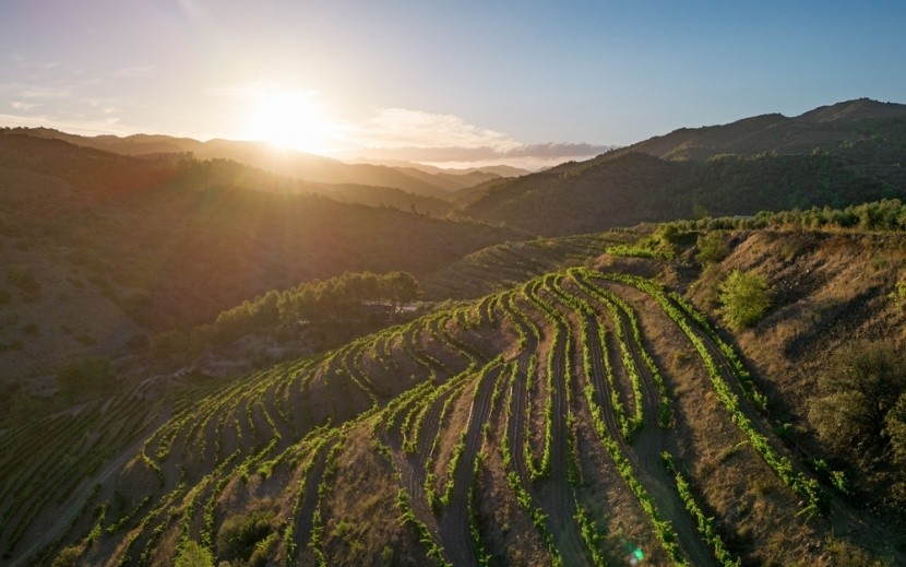 Priorat, Katalánsko