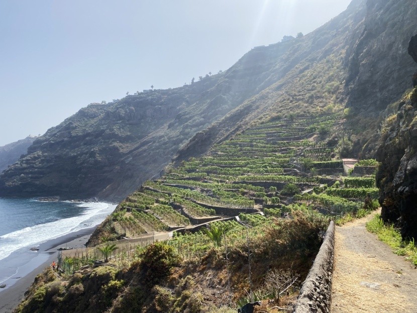 Playa Los Patos, Tenerife