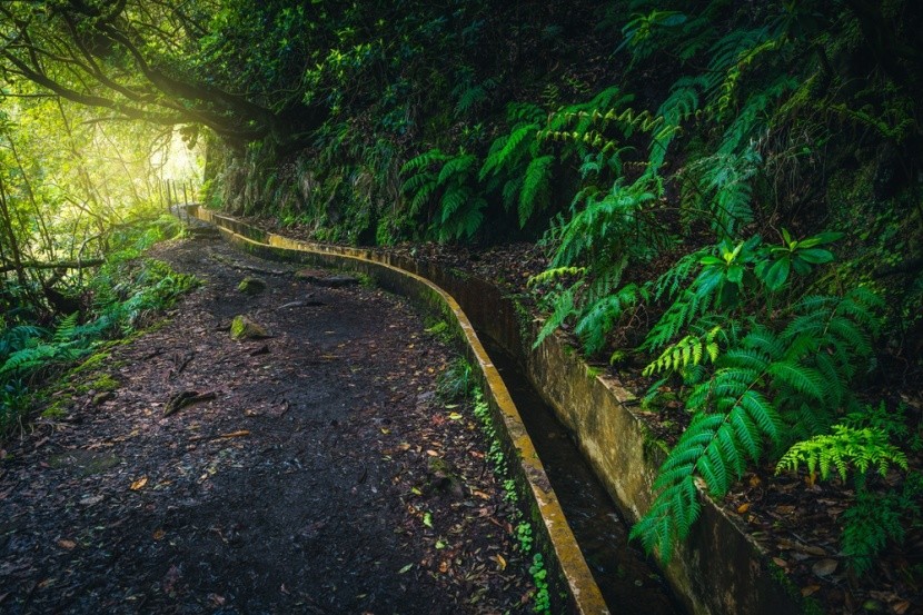 Levada do Furado, Madeira