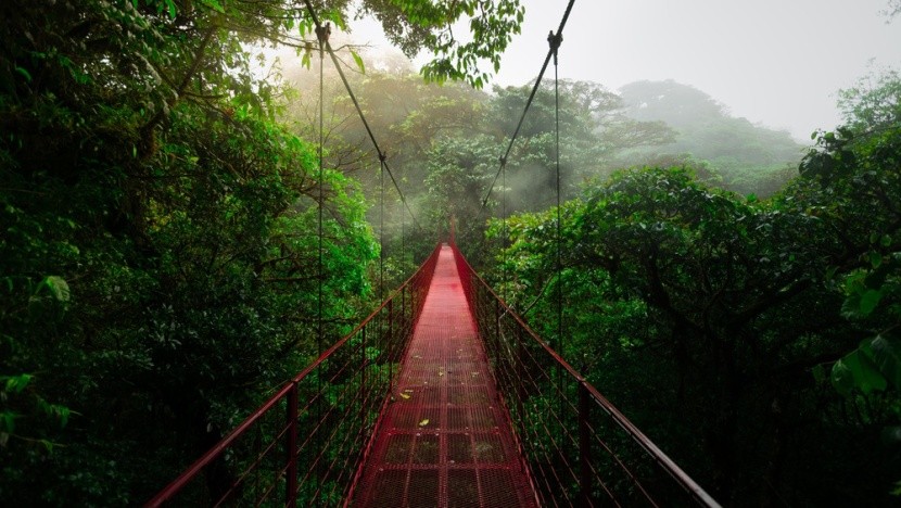 Monteverde Cloud Forest, Kostarika