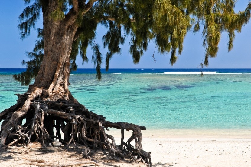 La Saline-les-Bains, Réunion