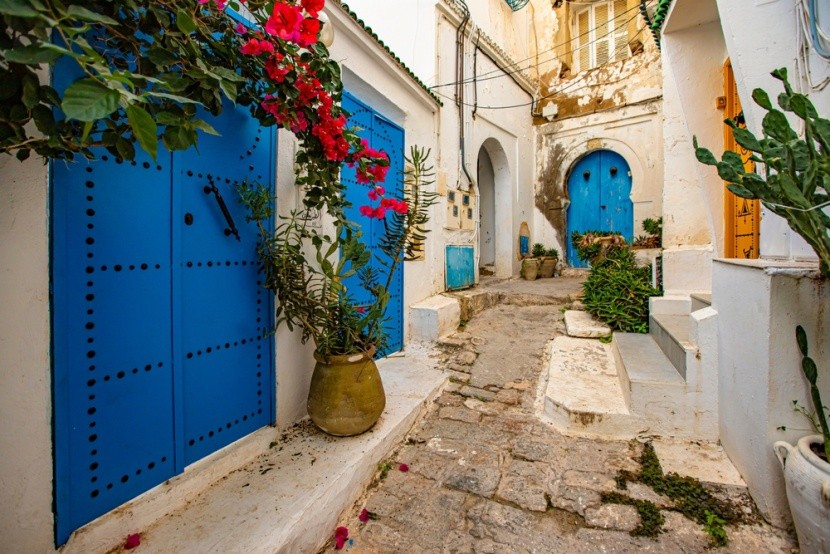 tradiční domy Sidi Bou Said