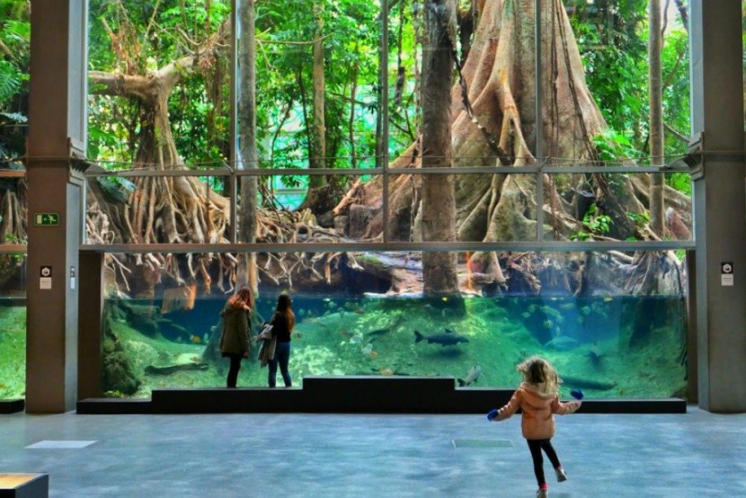 CosmoCaixa Múzeum, Barcelona