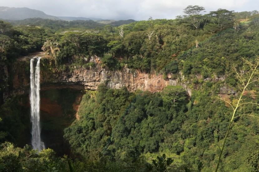 Black River Gorges National Park, Mauricius