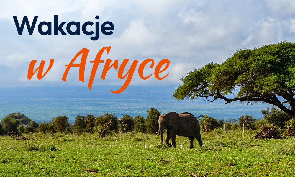 Wakacje w Afryce
