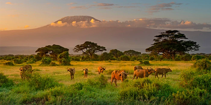 Kenia