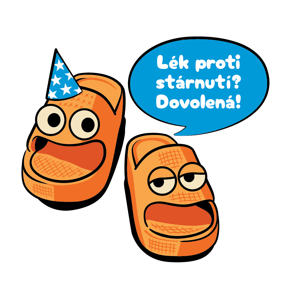 Narozeniny s Flipom a Flopom